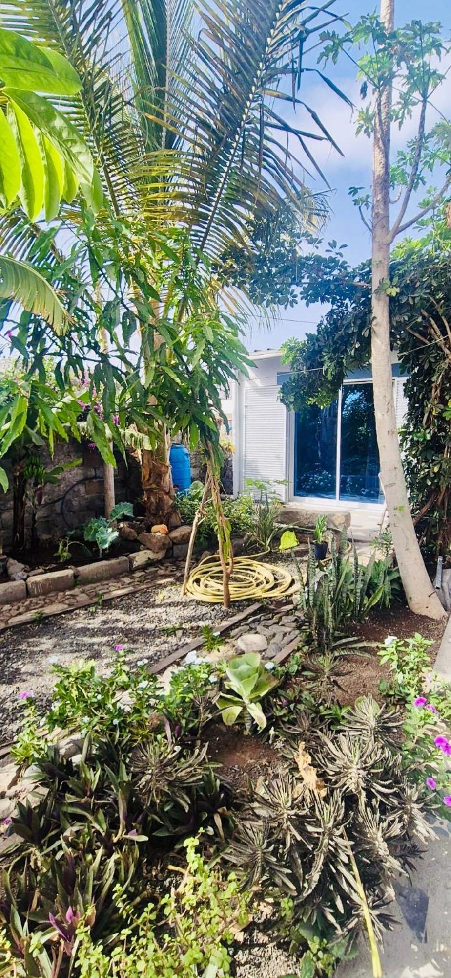 Casa Chiquinha Apartment Ribeira da Prata ภายนอก รูปภาพ