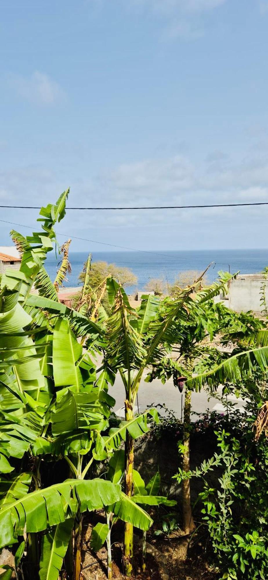 Casa Chiquinha Apartment Ribeira da Prata ภายนอก รูปภาพ