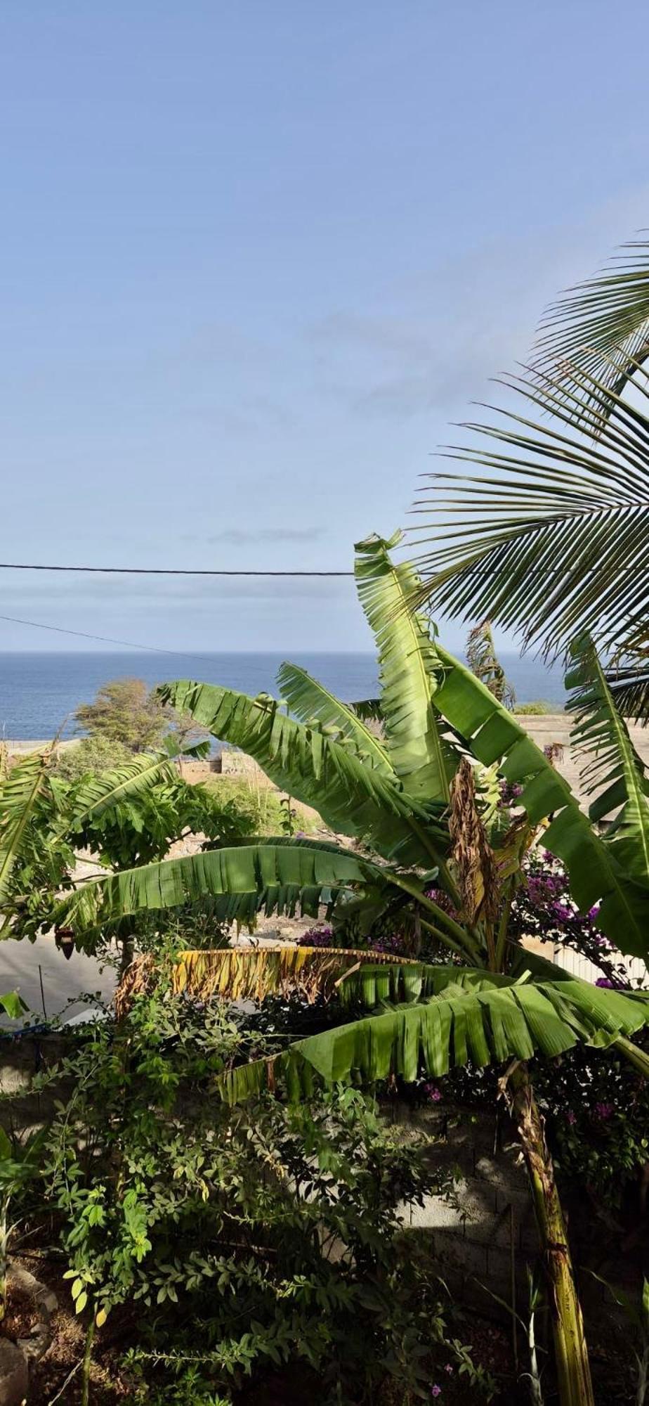 Casa Chiquinha Apartment Ribeira da Prata ภายนอก รูปภาพ