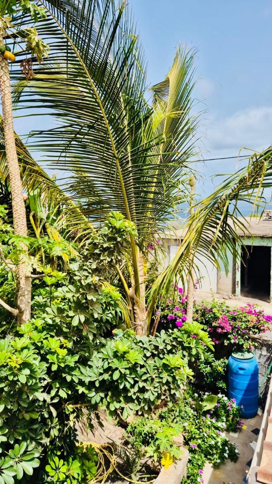 Casa Chiquinha Apartment Ribeira da Prata ภายนอก รูปภาพ