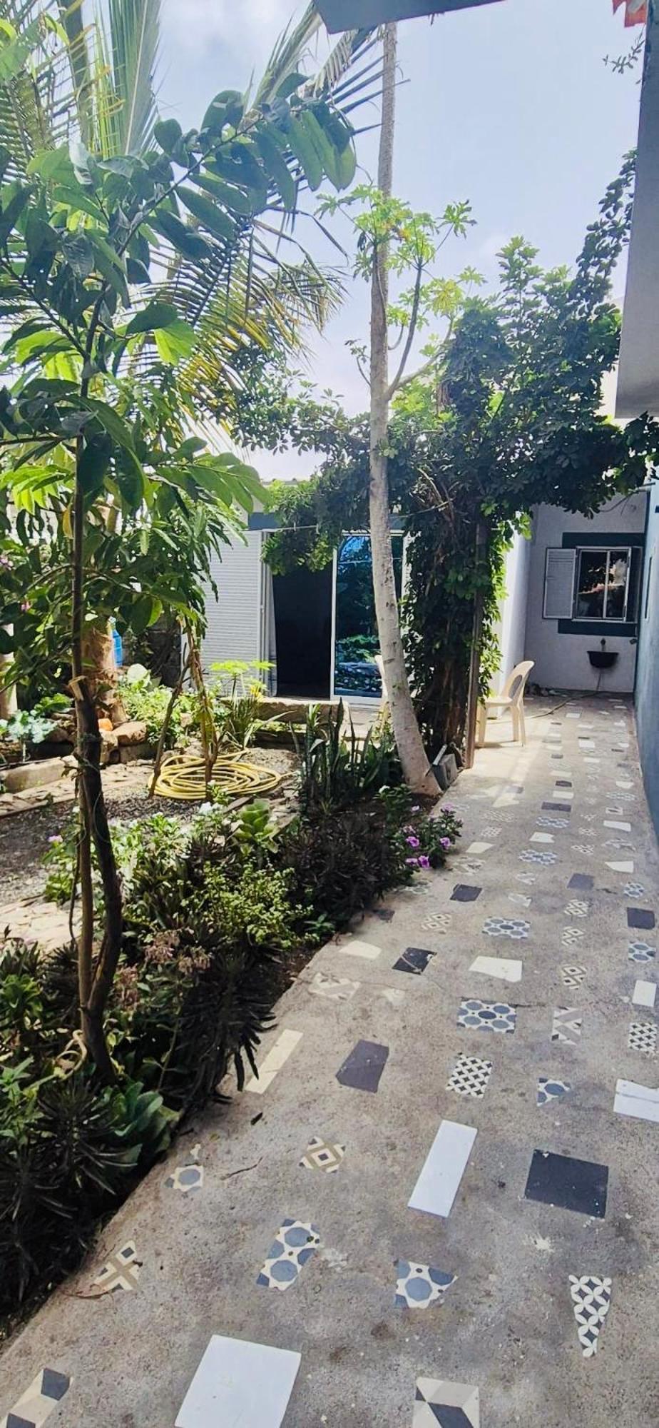 Casa Chiquinha Apartment Ribeira da Prata ภายนอก รูปภาพ